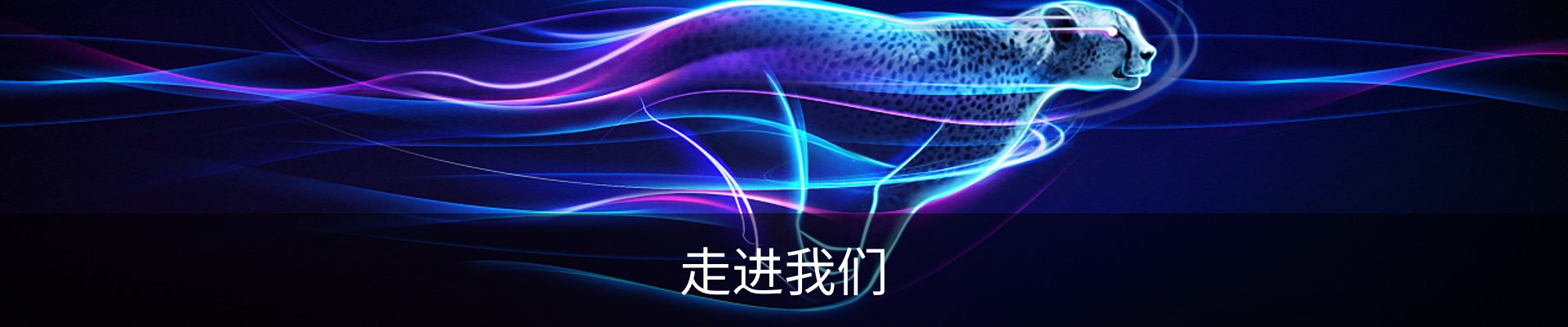 走进我们